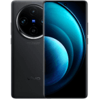 Vivo X100 Pro, 12GB/256GB