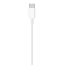 Apple USB-C To Lightning Cable 1M