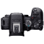 Canon EOS R10 Mirrorless Camera Body