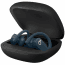 Powerbeats Pro, Earbuds