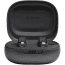 JBL Live Flex, Earbuds