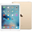 Apple iPad Pro 9.7, 256GB, 2016