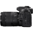 Canon EOS 80D, DSLR, 18-135mm USM Lens