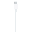 Apple USB-C To Lightning Cable 1M