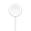Apple Watch Magnetic Fast Charger, USB-C, 1M