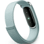 Google Fitbit Air Fitness Tracker