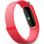 Google Fitbit Air Fitness Tracker